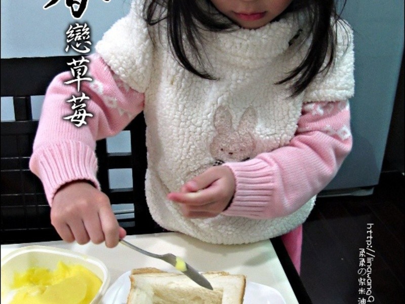 �������-������ݮ������˾������