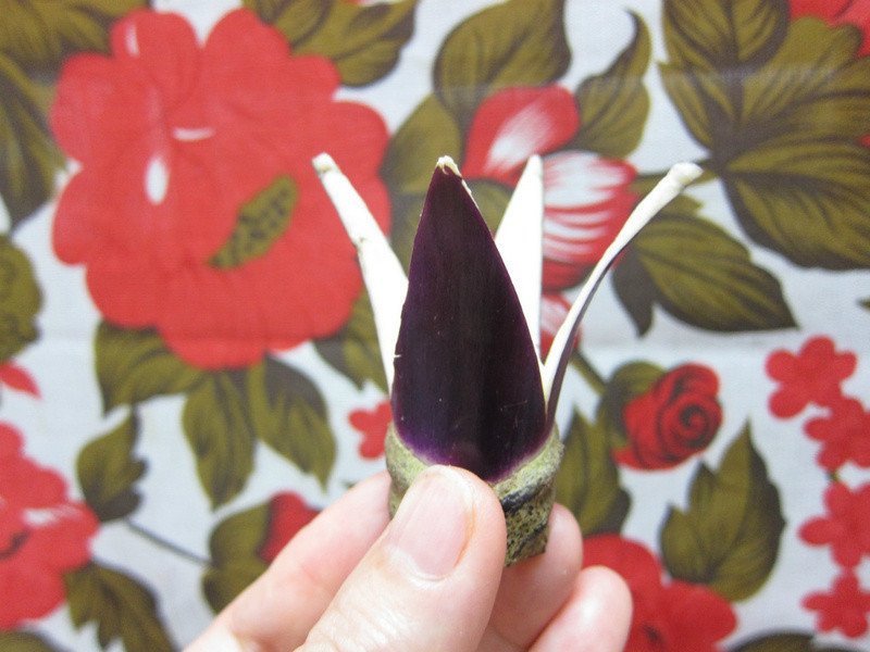 ϖ�����������