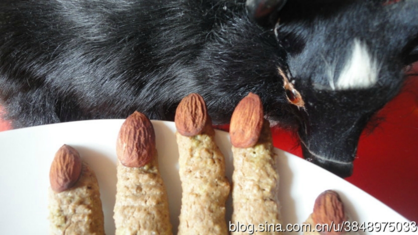 ��ʥ��Ӧ�����ġ���������ָ���ɵ�����