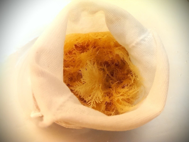 ���ʯ������ŵ��C���ݶ���������