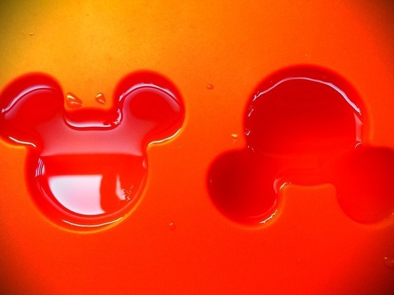 ���ʯ������ŵ��C���ݶ���������