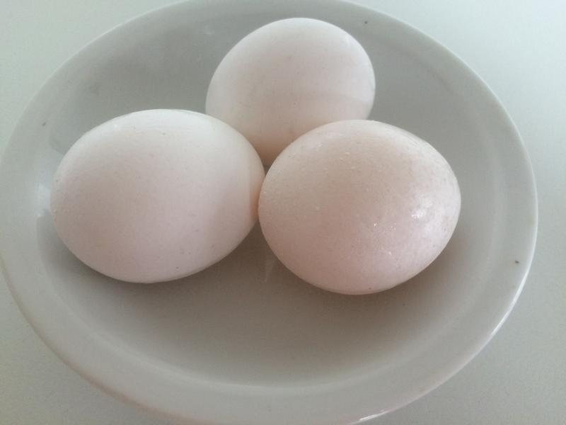 ������˾��������������