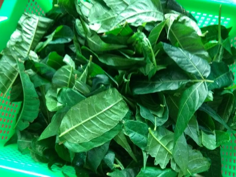 ���°����㴻Ĩ��������