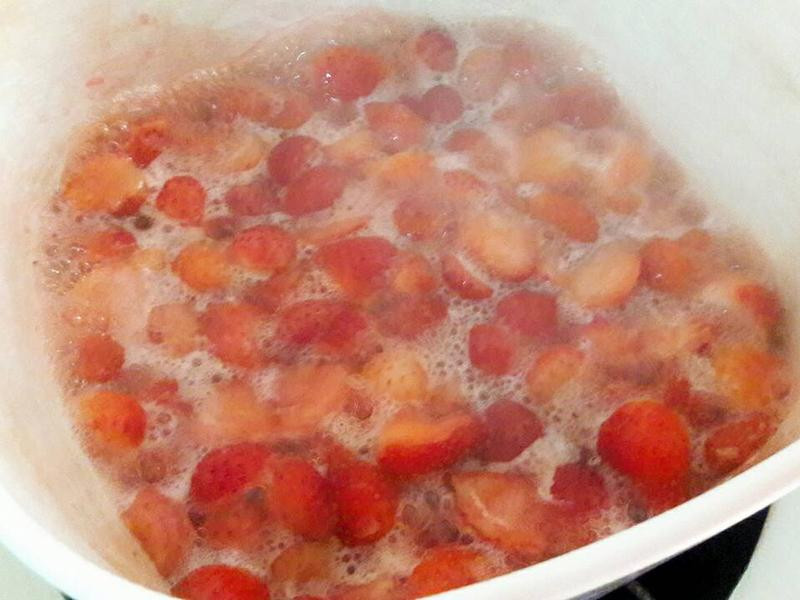 ���Ʋ�ݮ�ʹ���������