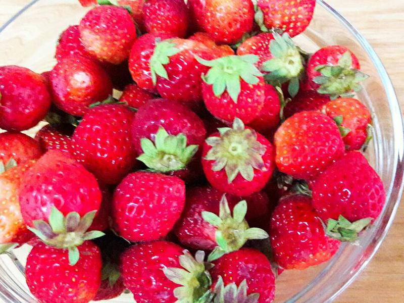 ���Ʋ�ݮ�ʹ���������