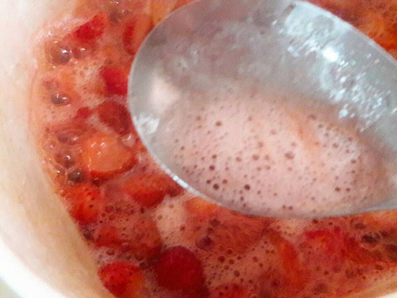 ���Ʋ�ݮ�ʹ���������