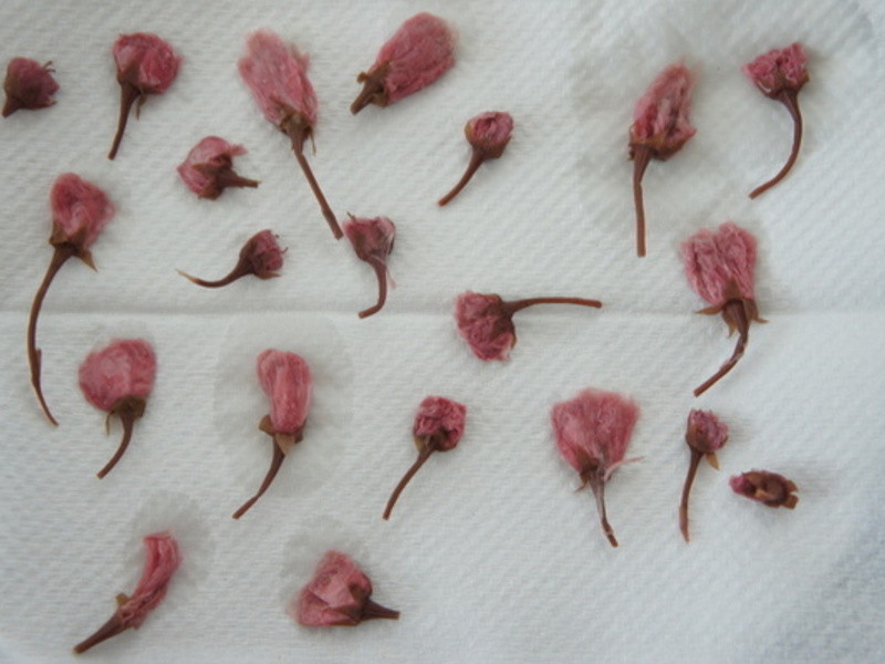 ӣ�������������