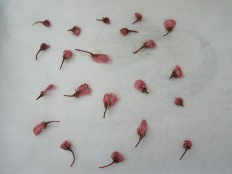 ӣ�������������