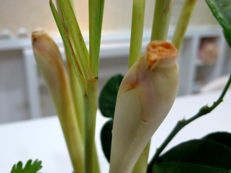 ̩���������������