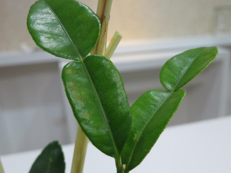 ̩���������������