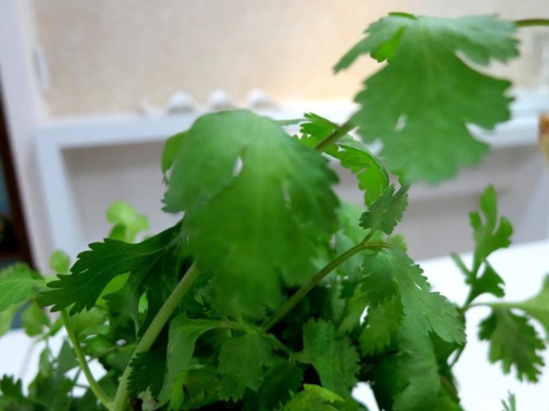 ̩���������������