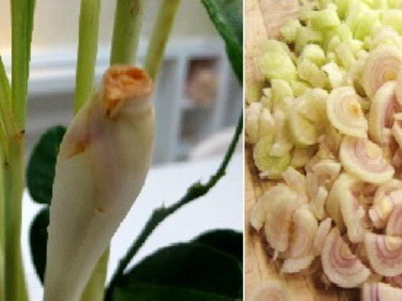 ̩���������������