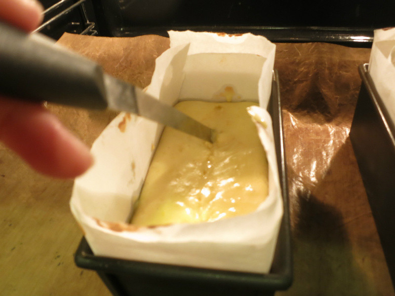 �׾�â�������������