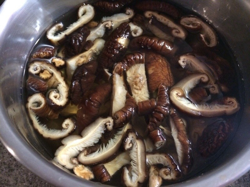 ����Ƥ������ı�����������������