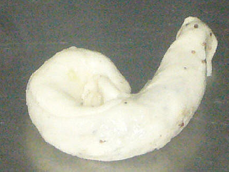 һ���ִл��� (���棩������