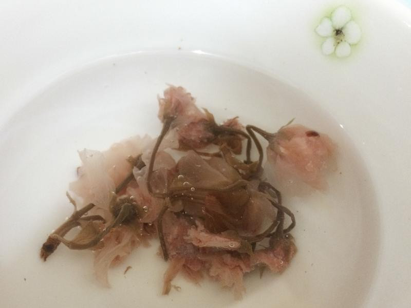 ӣ��Ĩ�����������