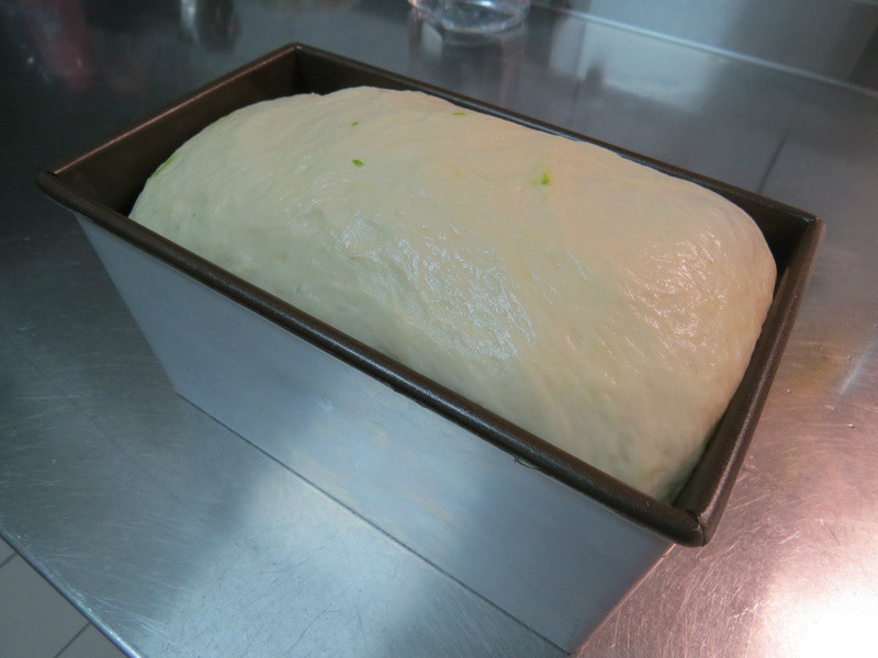 ��Ĩ��춹�������� ?? ��������