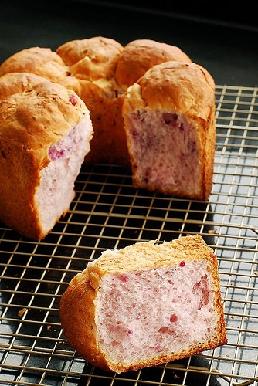 �Ϸ������������