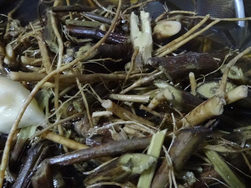 ��β�ݸ���������