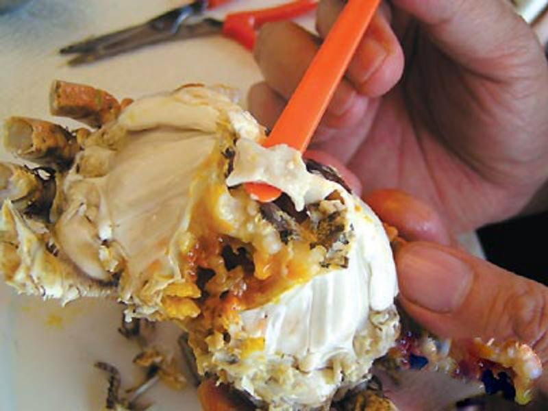 ơ������բз������