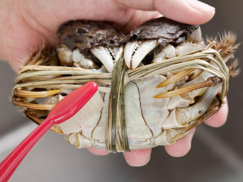 ơ������բз������