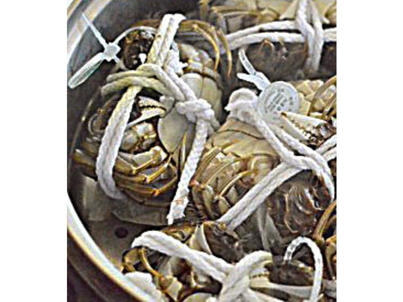 ơ������բз������