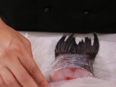 ����ڹ�����������