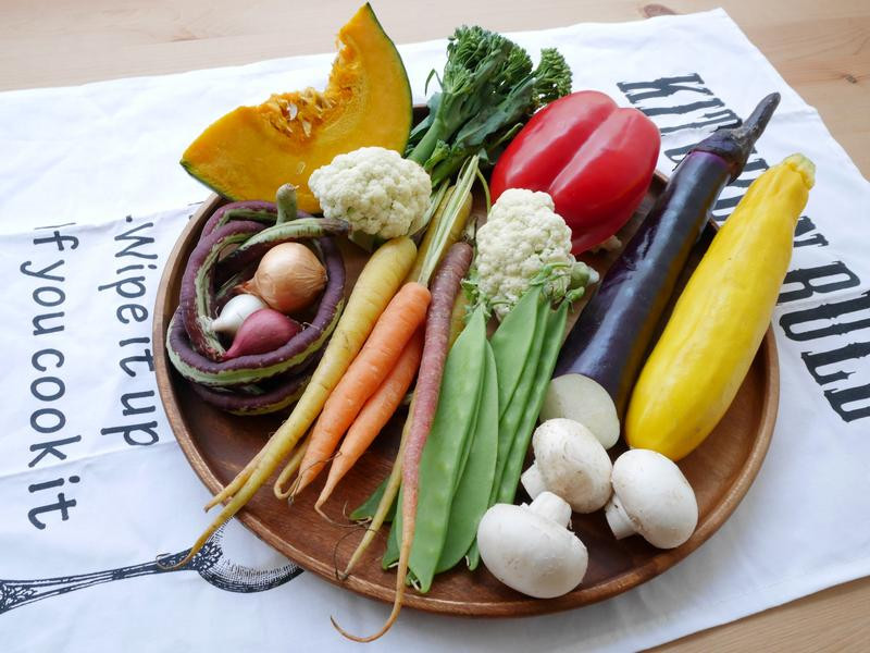 ������ɳ��������