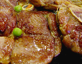 �����Ŵ���˵�����