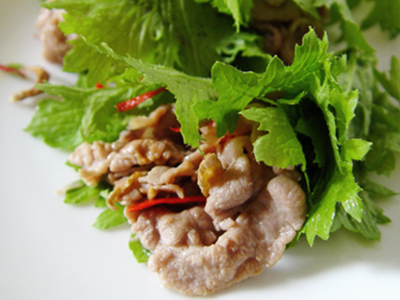 ��֭�������߾�������