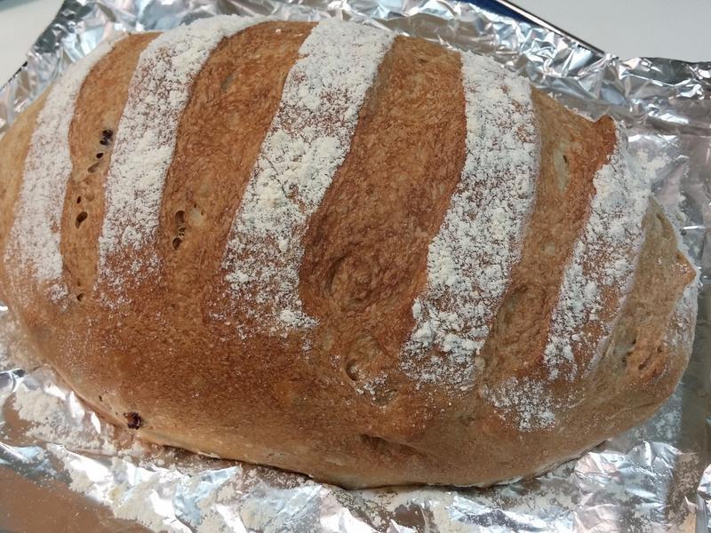 ������Խݮ�����������������