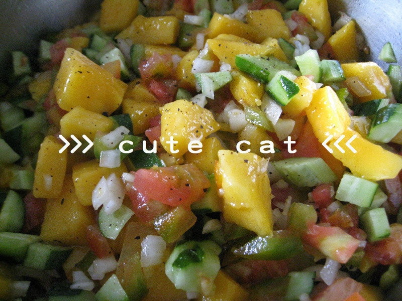 ��ʶ��̵�����