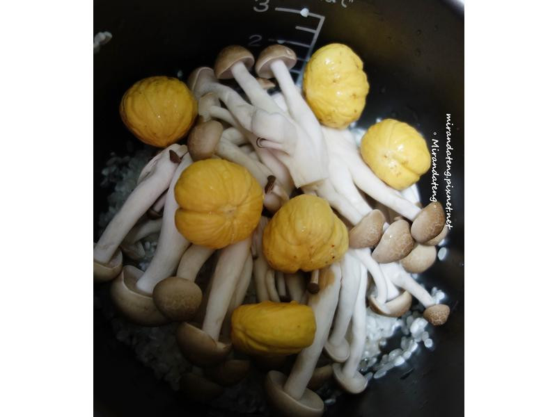 �����ʹ�����������