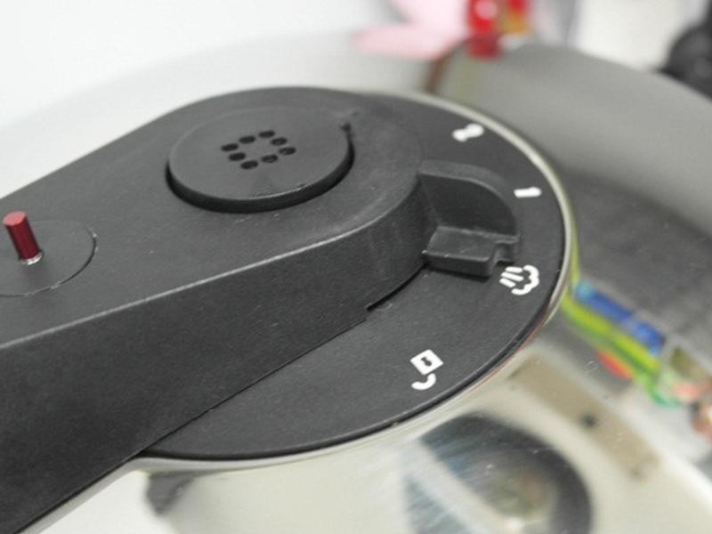 ��ʽһֻ������������