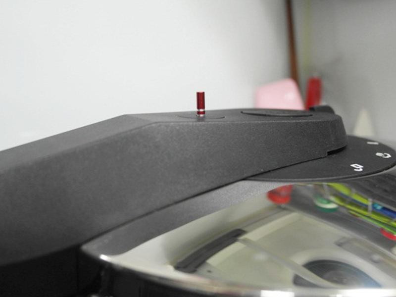 ��ʽһֻ������������