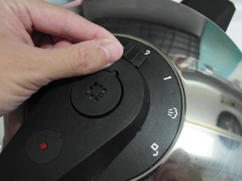 ��ʽһֻ������������