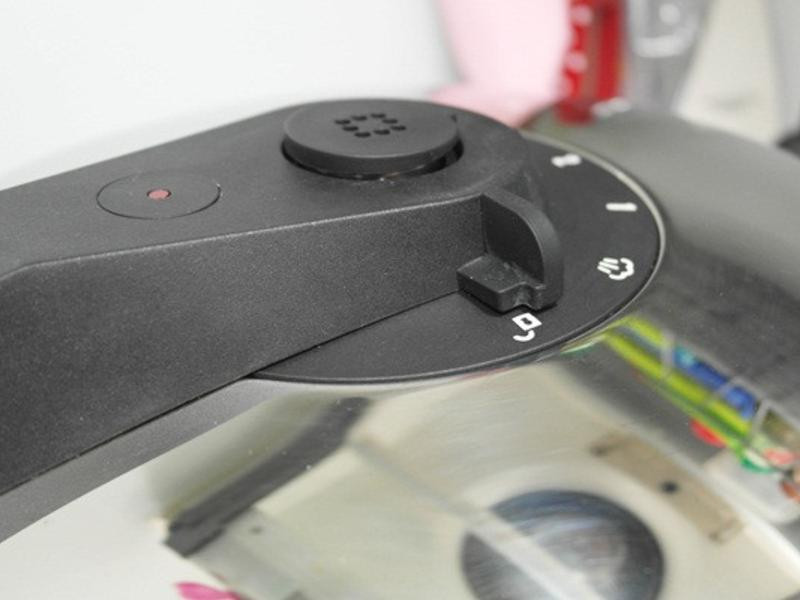 ��ʽһֻ������������