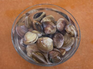 ���ⶹ�������������