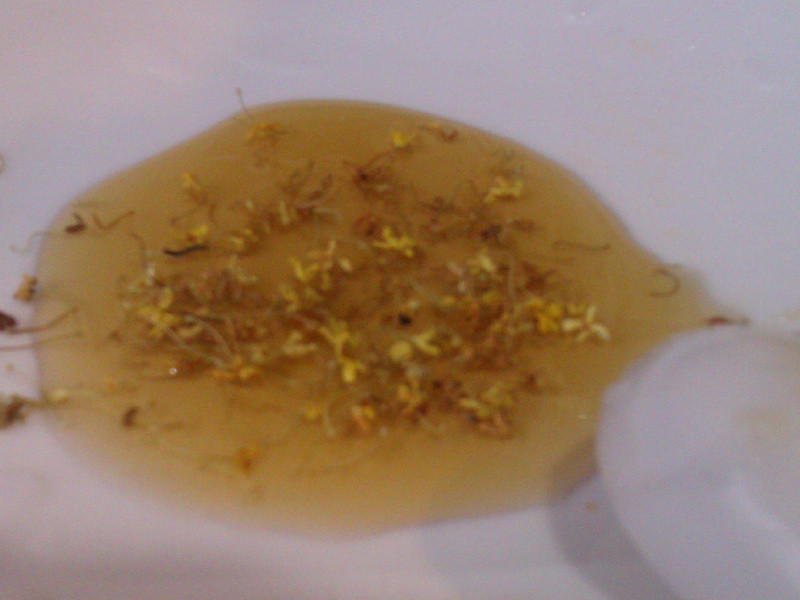 �����ǧ���ֵ�����