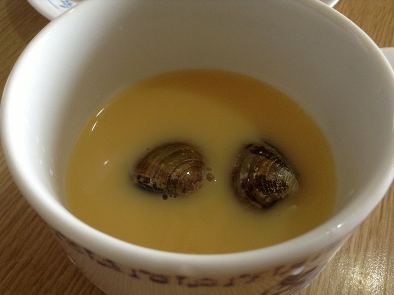 ����������������ʽ�����㡻������