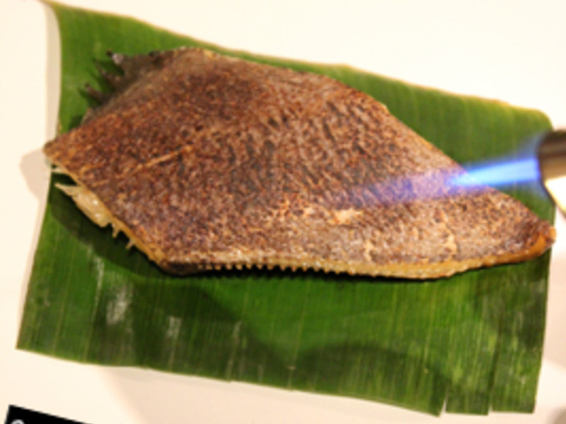 {ʳ��} 6�����ϸ㶨! ��ʽζ���㿾���������