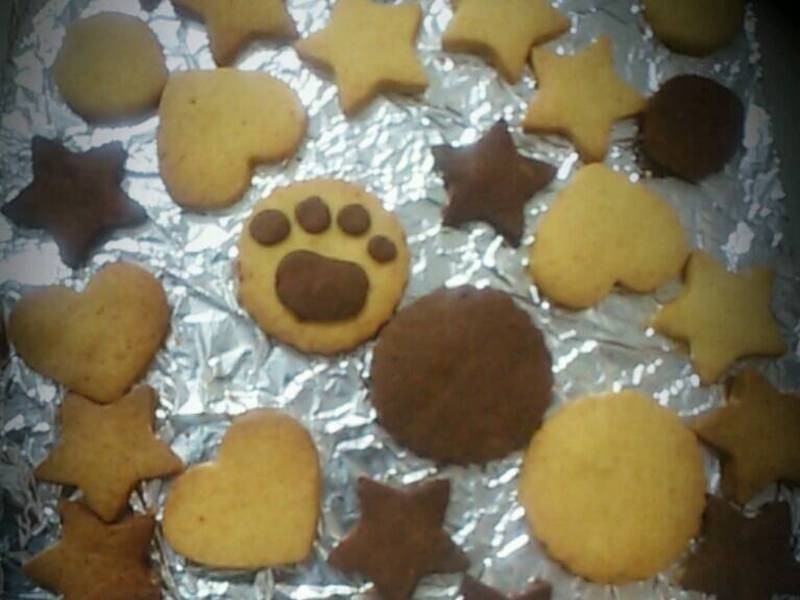 ���۱��ɵ�����