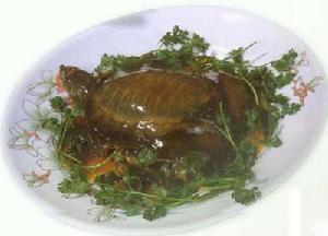 黄焖甲鱼的做法