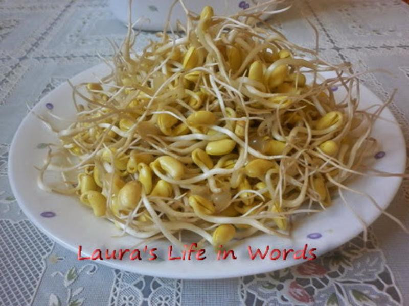 �������˵�����