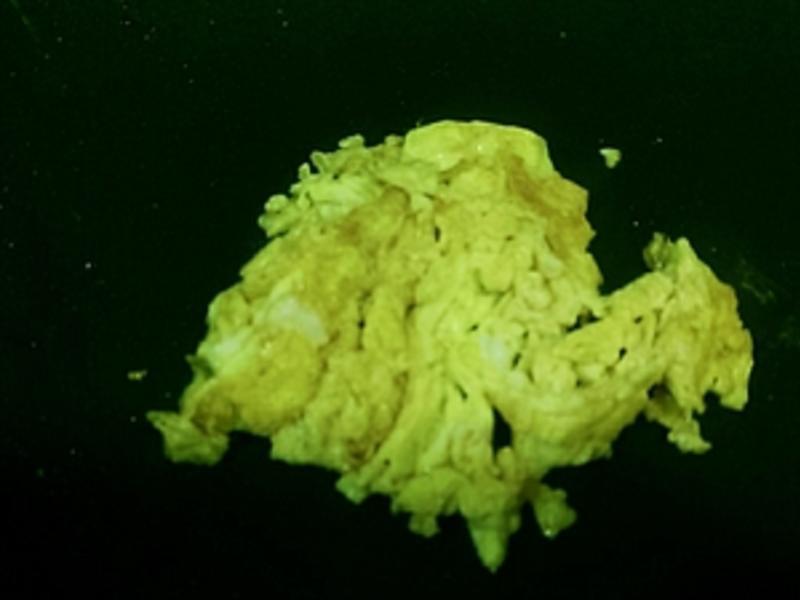 ެ�Ѽ�����̦�������