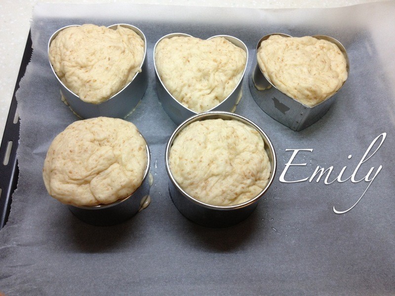 ������������������