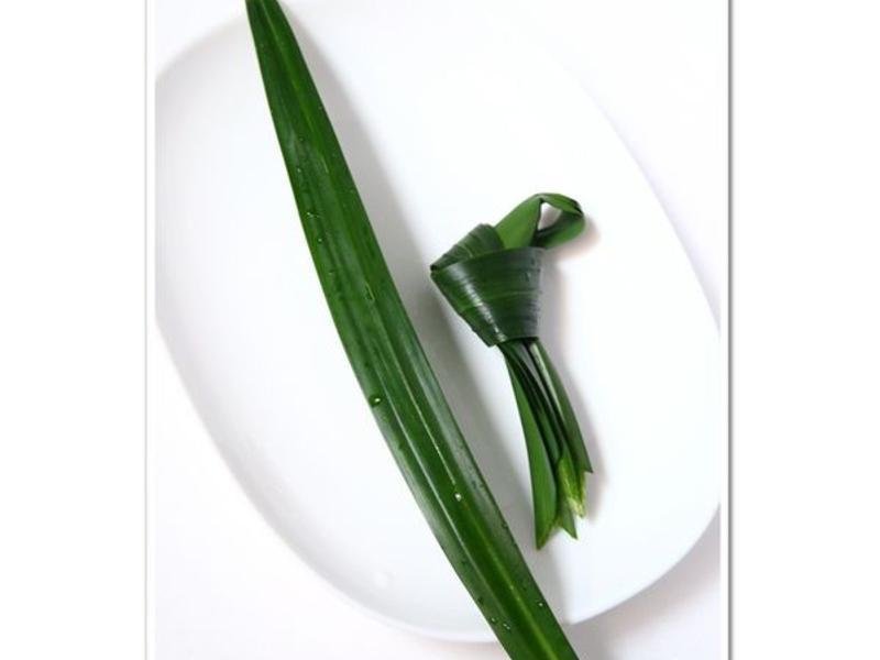 ̩ʽҬ��â��Ŵ�׷�������