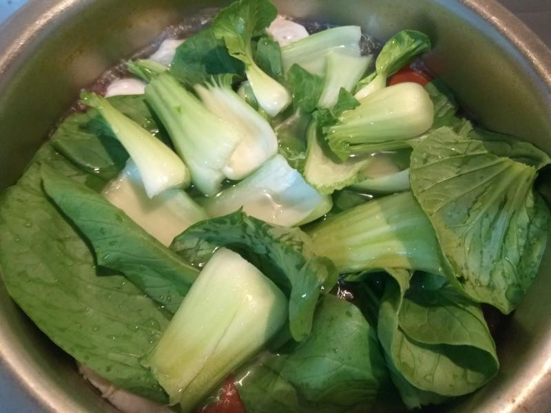 ެ�������߲���������