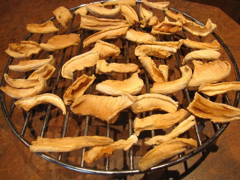 �����ܲ��ɵ�����