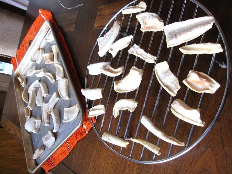 �����ܲ��ɵ�����